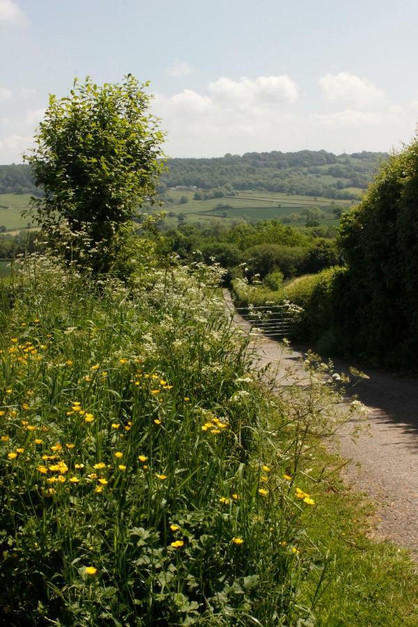 Villa Odle Farm Honiton Exterior foto