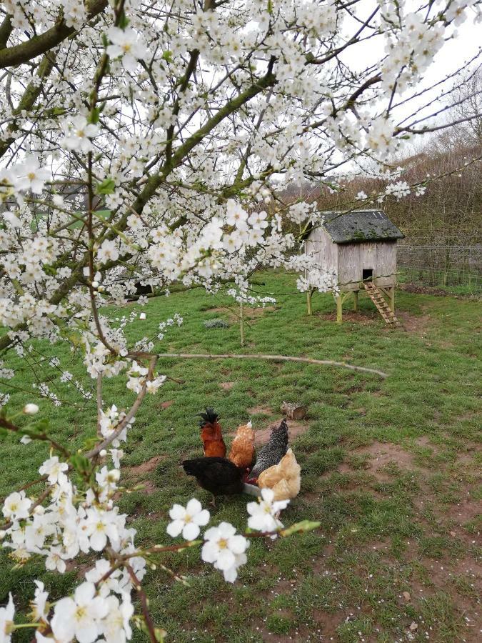 Villa Odle Farm Honiton Exterior foto